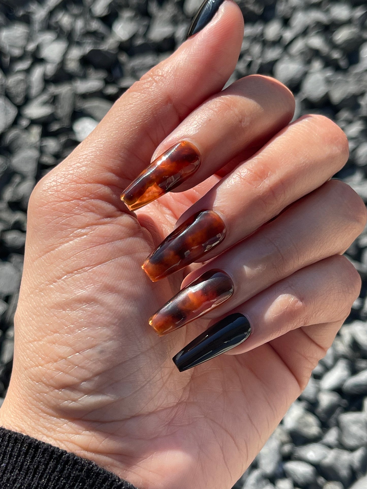 Tortoise Shell